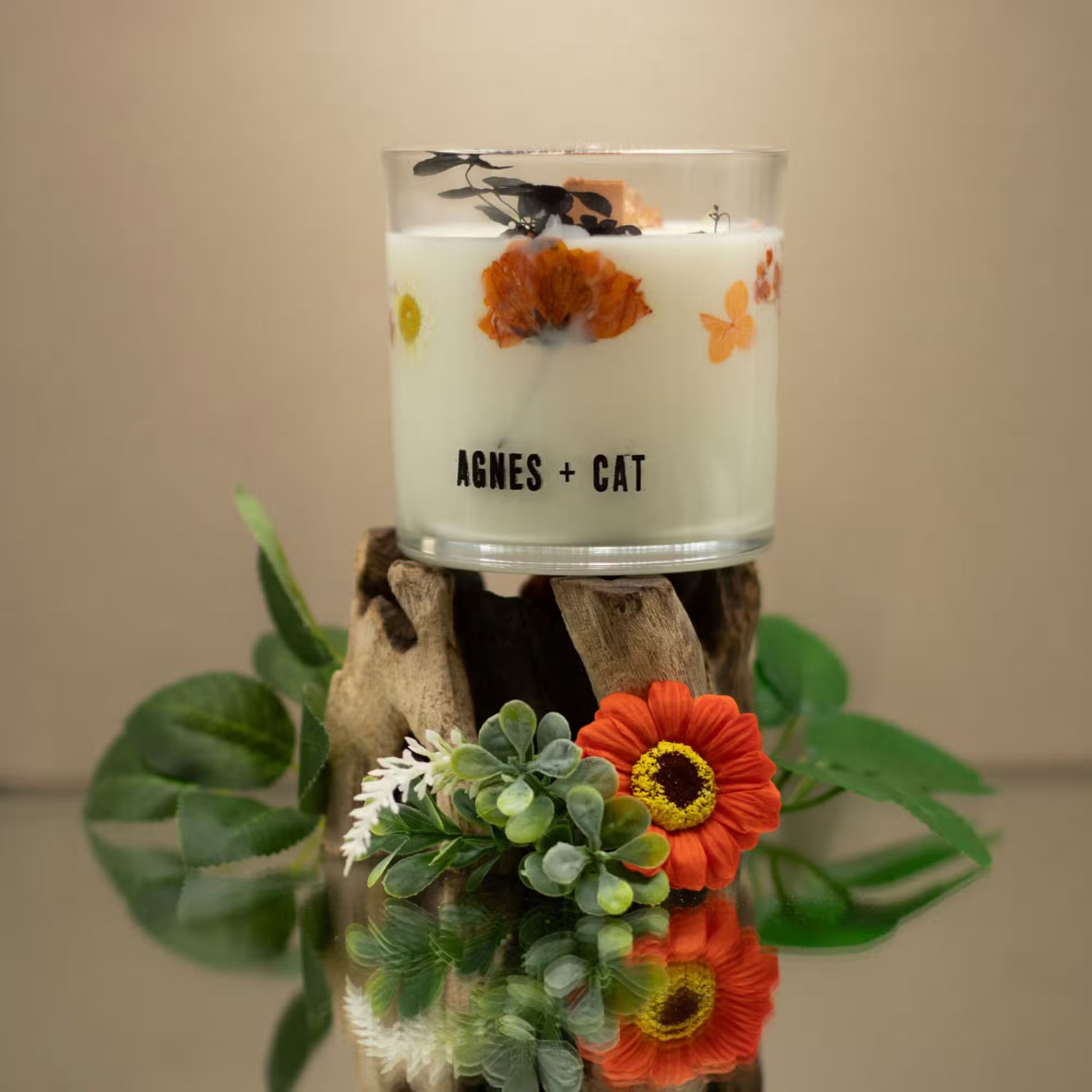 Agnes and Cat Lakeland Mocha botanical soy wax candle with coffee-inspired fragrance and dried florals
