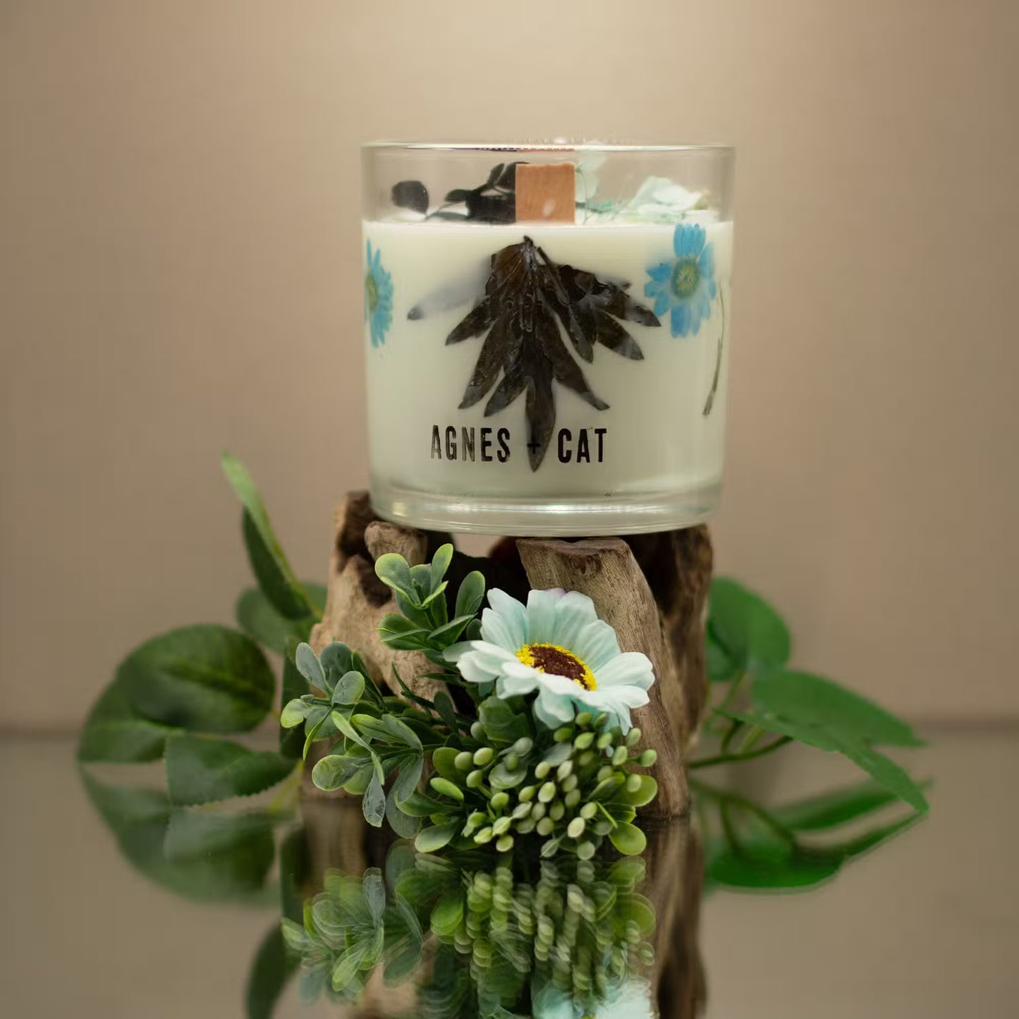 Agnes and Cat Sea Salt and Moss botanical soy wax candle with coastal-inspired fragrance and dried florals