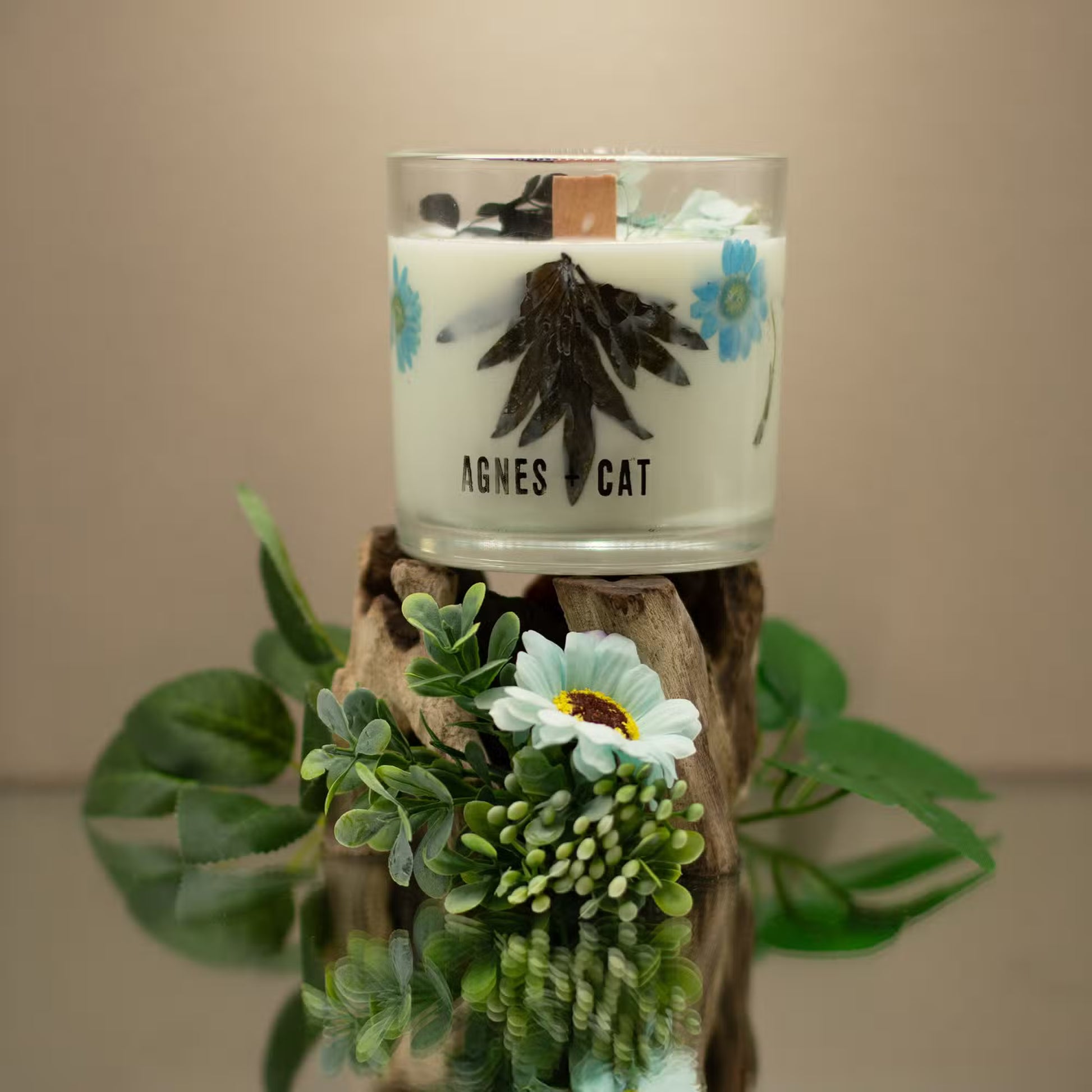 Agnes and Cat Sea Salt and Moss botanical soy wax candle with coastal-inspired fragrance and dried florals