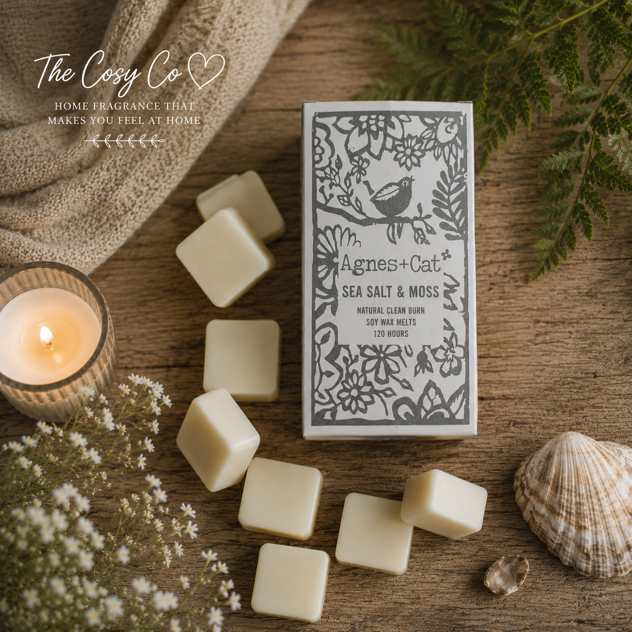 Agnes and Cat Sea Salt and Moss soy wax melts with fresh coastal home fragrance